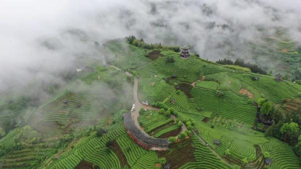 坐火车穿越村落,窗景超治愈! 坐火车穿越村落,窗景超治愈!