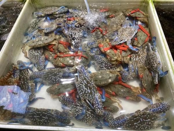价格大跌！杭州人热爱的这道美味，每斤降了100多元！菜场老板：八月份还要便宜