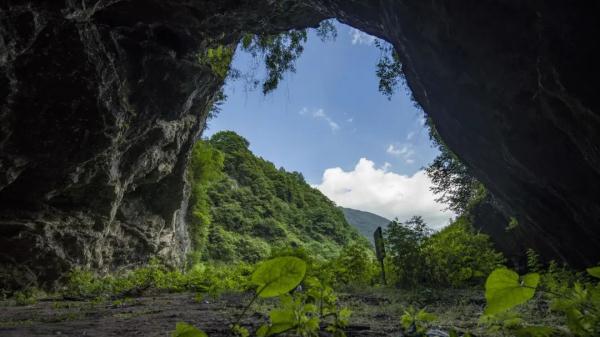 汉中天坑群又有新发现！速看→