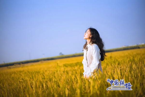 坐火车穿越村落,窗景超治愈! 坐火车穿越村落,窗景超治愈!