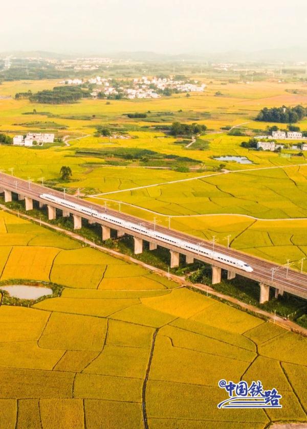 坐火车穿越村落,窗景超治愈! 坐火车穿越村落,窗景超治愈!