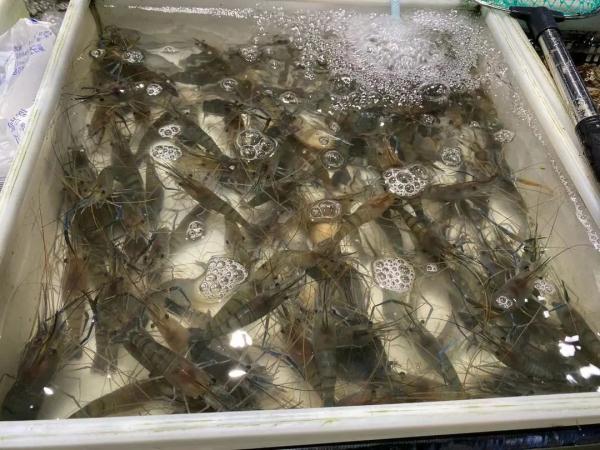 价格大跌！杭州人热爱的这道美味，每斤降了100多元！菜场老板：八月份还要便宜