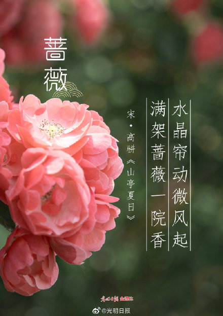 古诗词里的花有多美