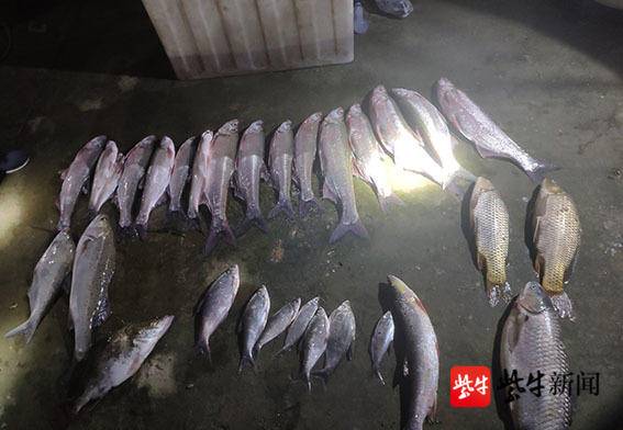 国家级水产种质资源保护区出现“幽灵船”     镇江2900余公斤非法捕捞案