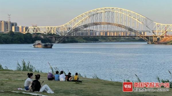广西今年蚊子好像少了?真相有点扎心! 广西今年蚊子好像少了?真相有点扎心!