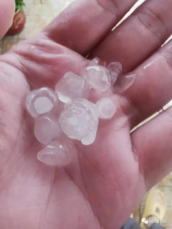 炎炎夏日，广东多地突降冰雹+暴雨！网友：给我也来点“冰水”吧……