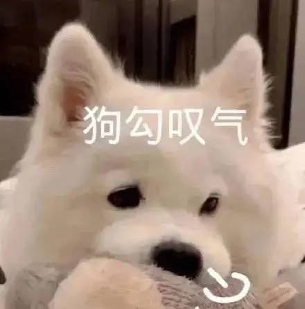 离职不是一走了之，你得……
