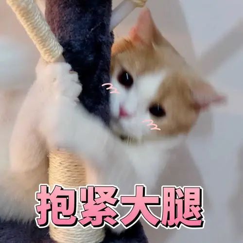危险！这种“新玩法”真有火！