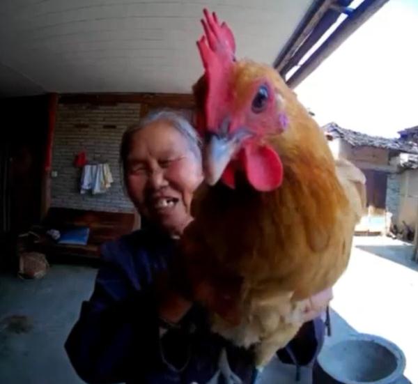 孙子给75岁奶奶装了一个可视门铃，看到这样一幕幕……
