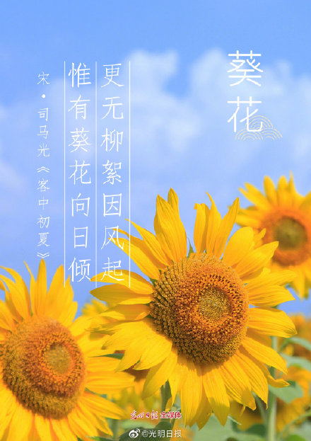 古诗词里的花有多美