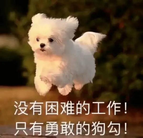 离职不是一走了之，你得……