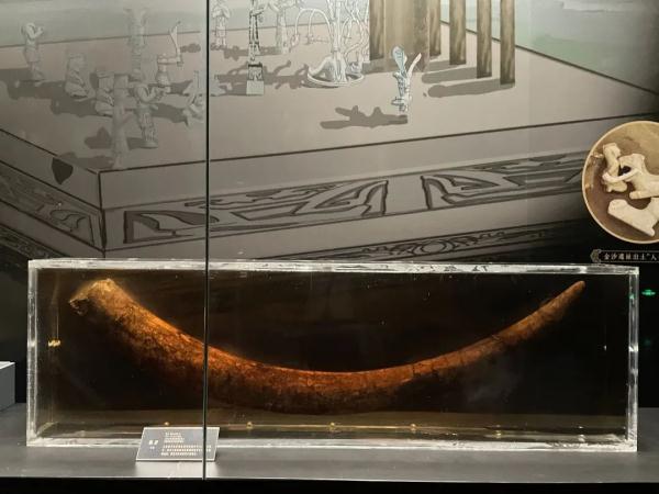 神秘三星堆来深“出差”，引爆观展热情，你去看了吗？