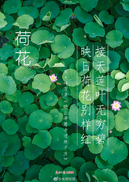 古诗词里的花有多美