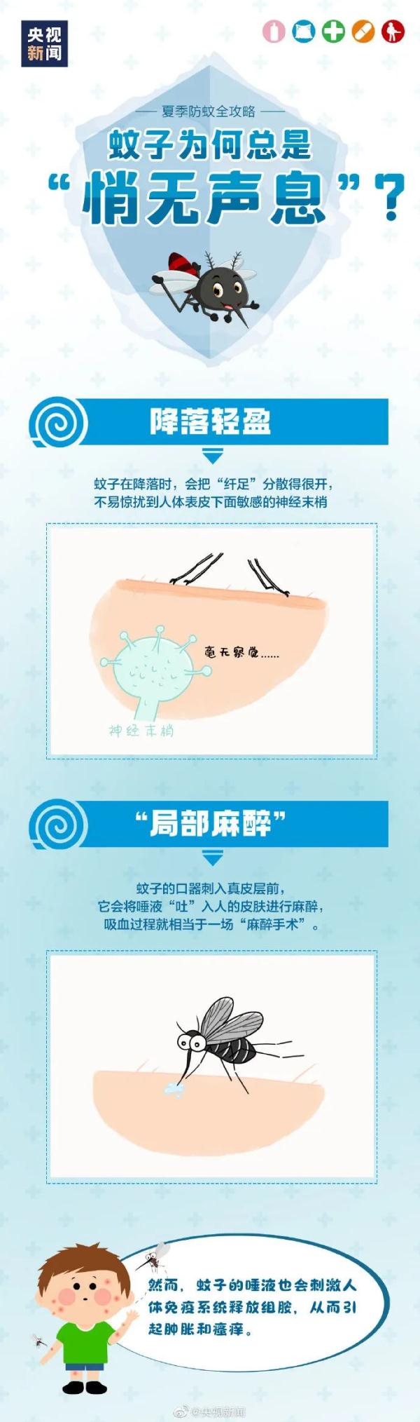 广西今年蚊子好像少了?真相有点扎心! 广西今年蚊子好像少了?真相有点扎心!