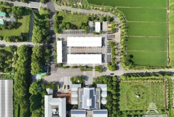 久等了！青西郊野公园即将开放，长兴岛郊野公园延长开放