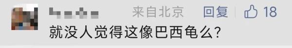 吓人！飞机上，有人在航空餐吃出这种异物…