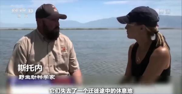 极端热浪席卷全球 解决气候问题迫在眉睫