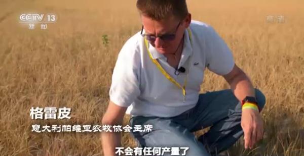 极端热浪席卷全球 解决气候问题迫在眉睫