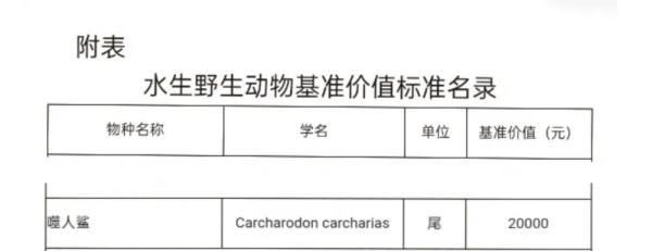 网红吃的二级保护动物“大白鲨”来自福建沿海，相关人员已被警方控制