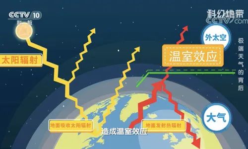 报!北极都可以穿短袖了 报!北极都可以穿短袖了