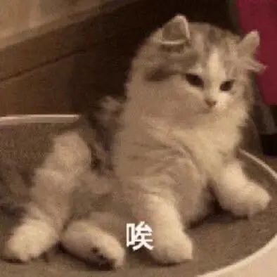 报!北极都可以穿短袖了 报!北极都可以穿短袖了