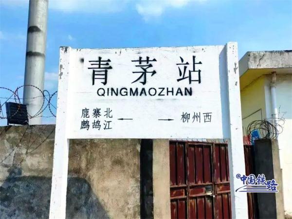 幽兰、葡萄、海棠……这竟然是火车站名，你去过吗？