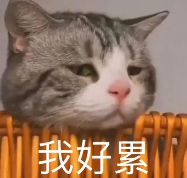 报!北极都可以穿短袖了 报!北极都可以穿短袖了