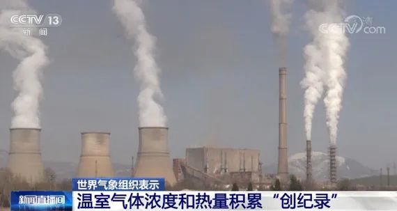 报!北极都可以穿短袖了 报!北极都可以穿短袖了