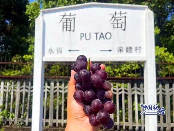 幽兰、葡萄、海棠……这竟然是火车站名，你去过吗？