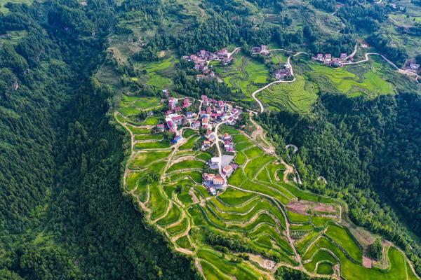 重庆万州:山乡夏日美