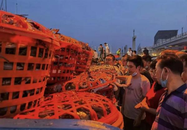 开渔后“第一网”海鲜上岸，价格嘛…
