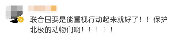 北极都热到穿短袖了？！网友：北极熊怎么办