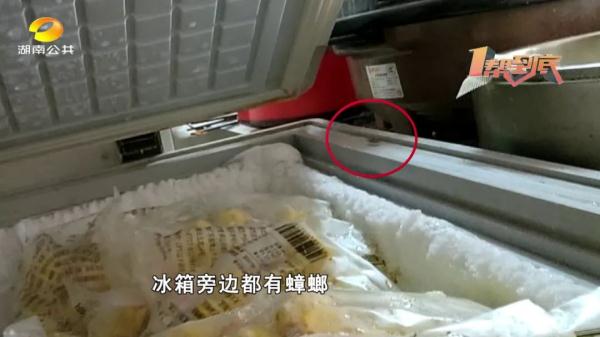 叼烟处理肉？死蟑螂遍布？这个脏乱差“外卖村”被责令停业整改！