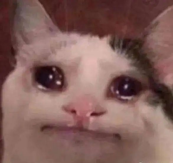 报!北极都可以穿短袖了 报!北极都可以穿短袖了