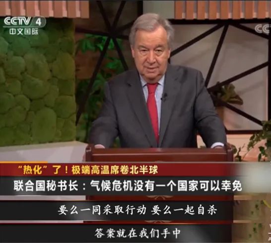 报!北极都可以穿短袖了 报!北极都可以穿短袖了