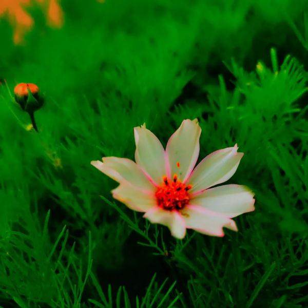 雨后的冰沟河,云雾缭绕,仙气十足! 雨后的冰沟河,云雾缭绕,仙气十足!