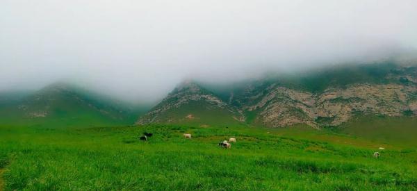 雨后的冰沟河,云雾缭绕,仙气十足! 雨后的冰沟河,云雾缭绕,仙气十足!