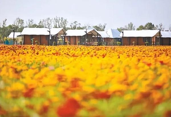 人民日报特别报道 | 陕西:呵护秦岭生态 展现自然之美 人民日报特别报道 | 陕西:呵护秦岭生态 展现自然之美