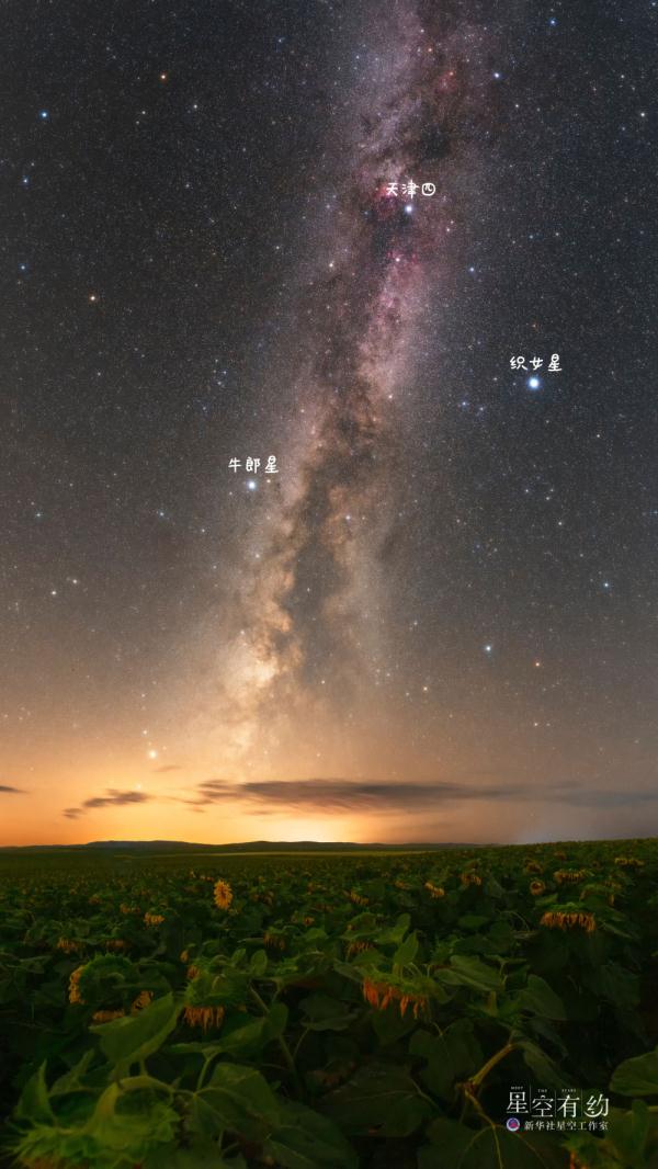 七夕：夜赏牛郎织女星，感受千年浪漫情
