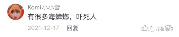 七夕求婚惊喜变惊吓！海水猛涨，青岛石老人“网红洞”5人被困