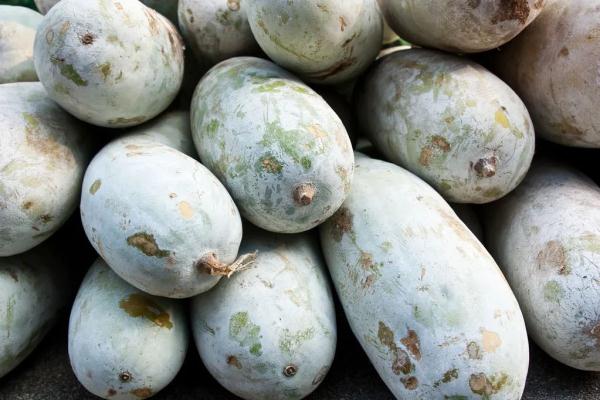 “夏季第一瓜”，这七类人不要错过！黑皮白皮哪种好？