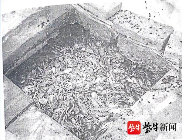 为帮“邻居”鱼塘损失200余万元，法院判全赔：让助人者无后顾之忧！