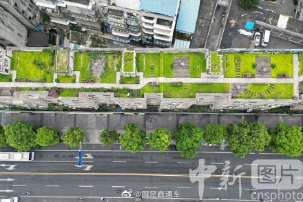 图说国是｜成都一小区楼顶变“共享空中花园”