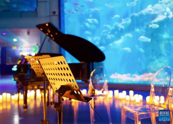 青岛：极地深海音乐会 浪漫夏夜进行时