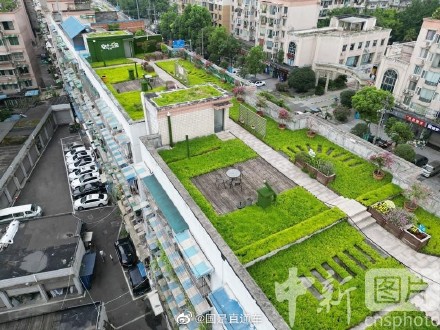 图说国是｜成都一小区楼顶变“共享空中花园”