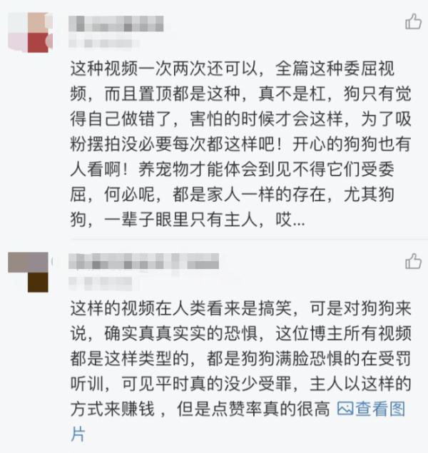 它的表情包你一定用过！宠物博主疑似虐狗，网友：怒了...