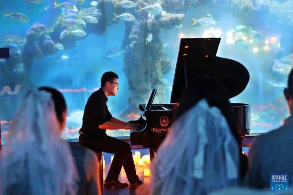青岛：极地深海音乐会 浪漫夏夜进行时