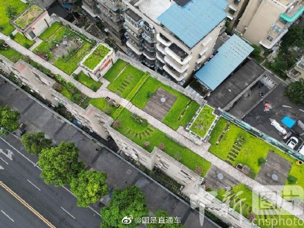 图说国是｜成都一小区楼顶变“共享空中花园”