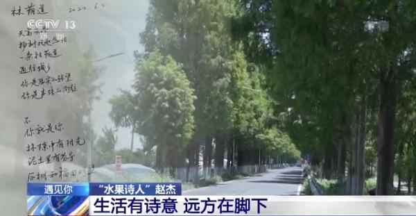 “眼前是果香 心中是远方” 为水果写诗的老赵，火了