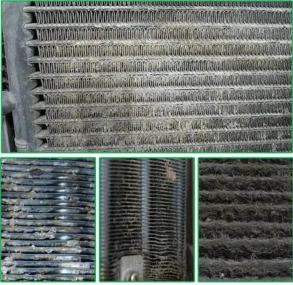 男子突发高烧还多脏器衰竭，不是热射病！病原竟在空调